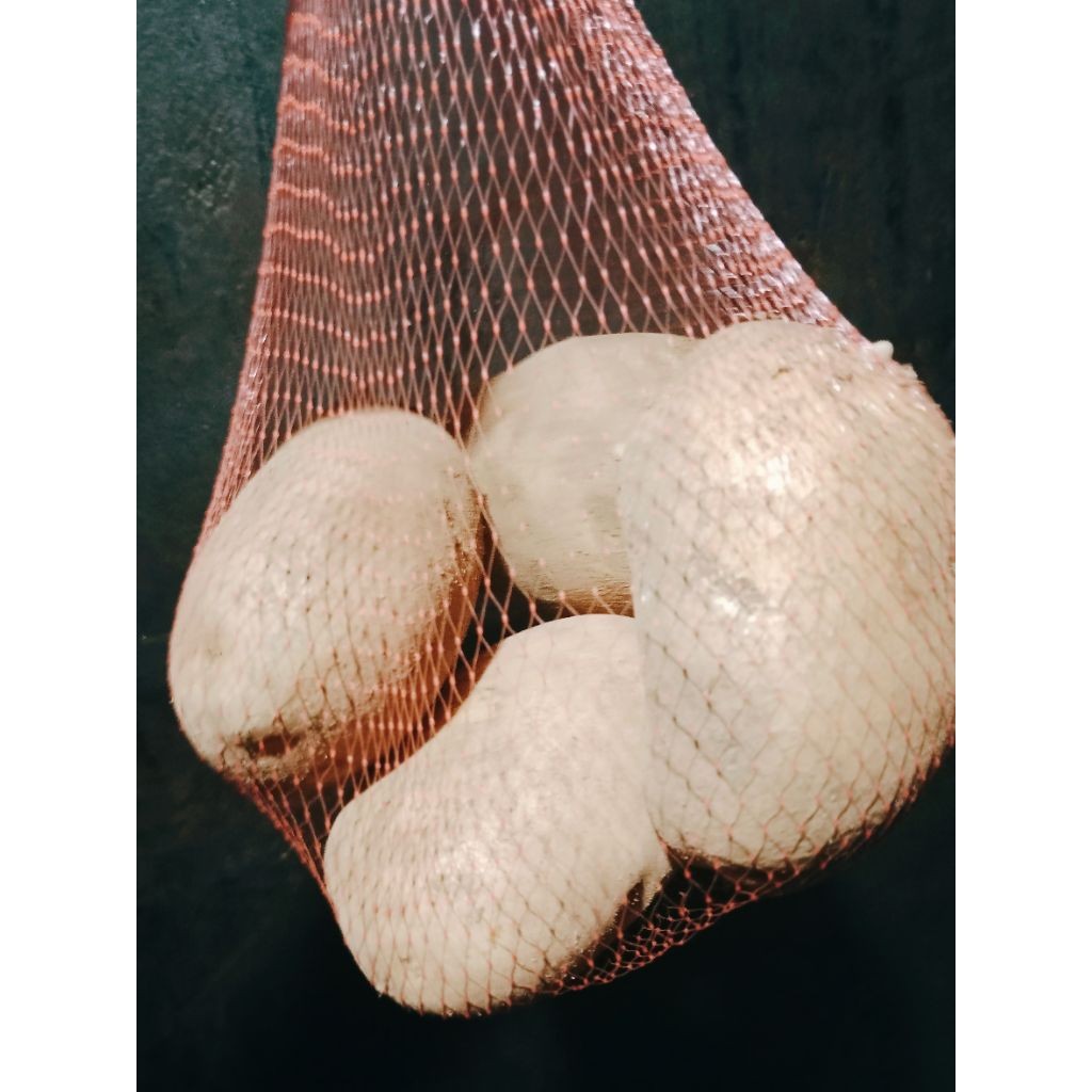 KMT - kentang dieng JUMBO 1KG ISI 2/4 biji, fresh baru panen dari kebun,