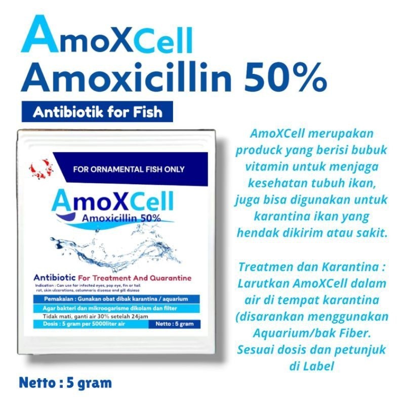 Amoxcell 5gr amoxicillin 50% obat karantina ikan antibiotik untuk ikan hias ikan predator