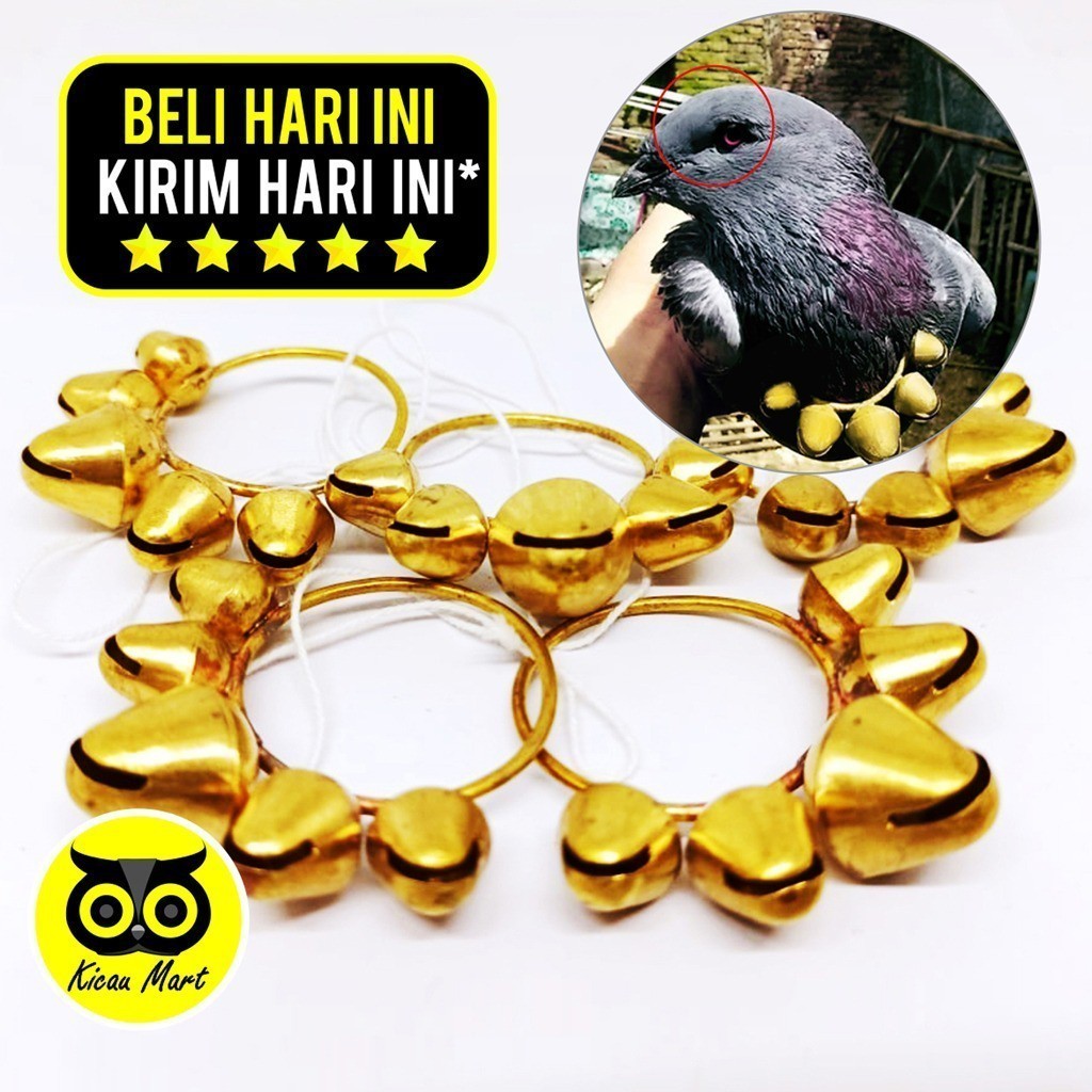 KICAU MART SAWANGAN MERPATI KALUNG HATONG HOTANG SAWANGAN LONCENG EMAS PELUIT PLUIT BURUNG MERPATI F