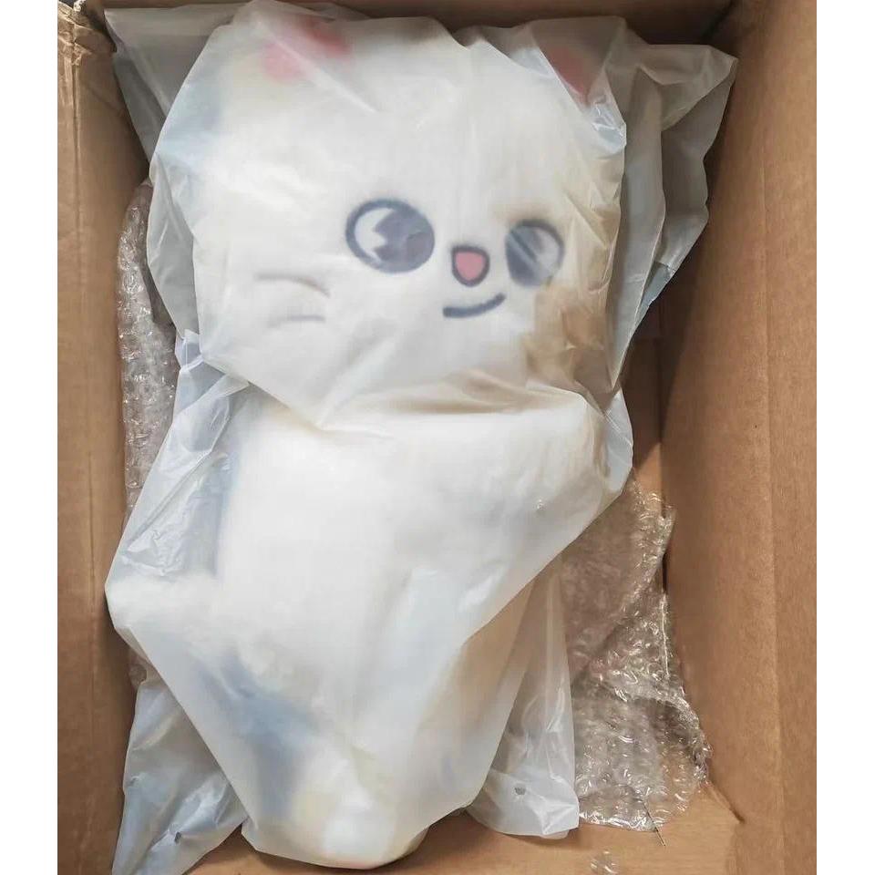 SKZOO Plush Backpack K-POP Stray Kids Hyunjin Bangchan Leeknow Doll Doll Crossbody Bag SKZ Plush Toy