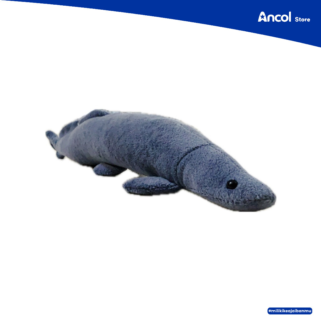 Ancol Boneka Seaworld Karakter Arapaima 20cm | Boneka Ikan Karakter Lucu & Lembut | Official Merchan