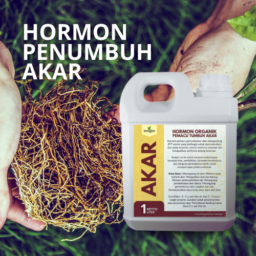 SALEPupuk Penumbuh Akar / Pupuk Akar Tanaman Buah / Pupuk Akar Durian / Pupuk Akar Tanaman / Pupuk A