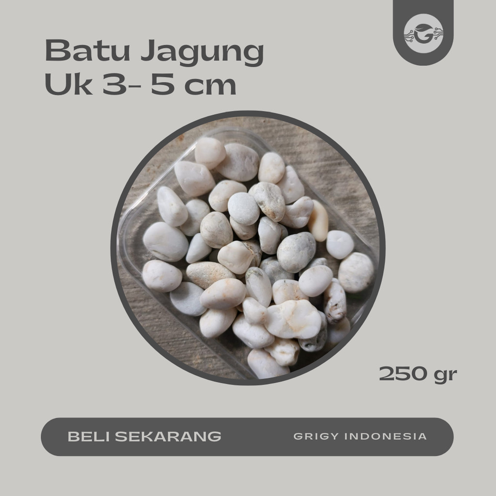 BATU JAGUNG PUTIH WHITE CORN PEBBLE STONE 250 GRAM