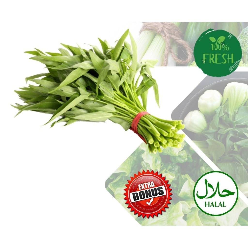Kangkung Hijau Sayur Segar 1 Ikat instant bandar lampung