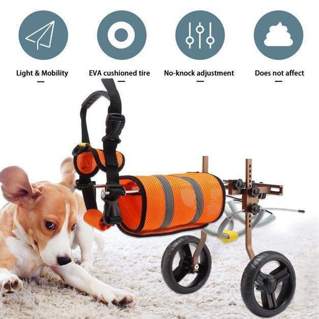 Kursi Roda Anjing Hind Legs Wheelchair Dpg Alat Bantu Jalan Anjing Aluminium Ringan