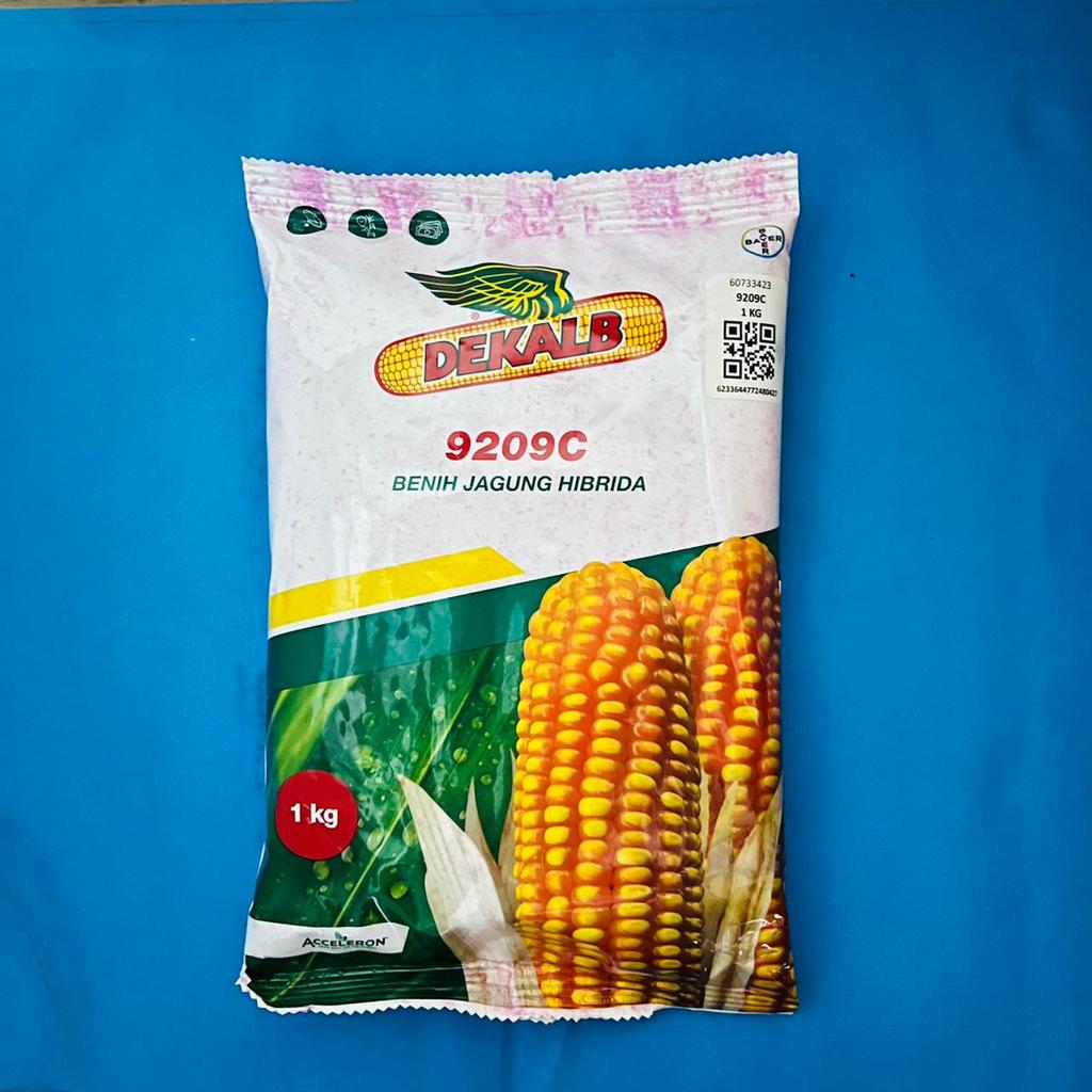 Benih DEKALB 9209C dan DEKALB 771 Jagung Hibrida isi 1kg dari ACCELERON