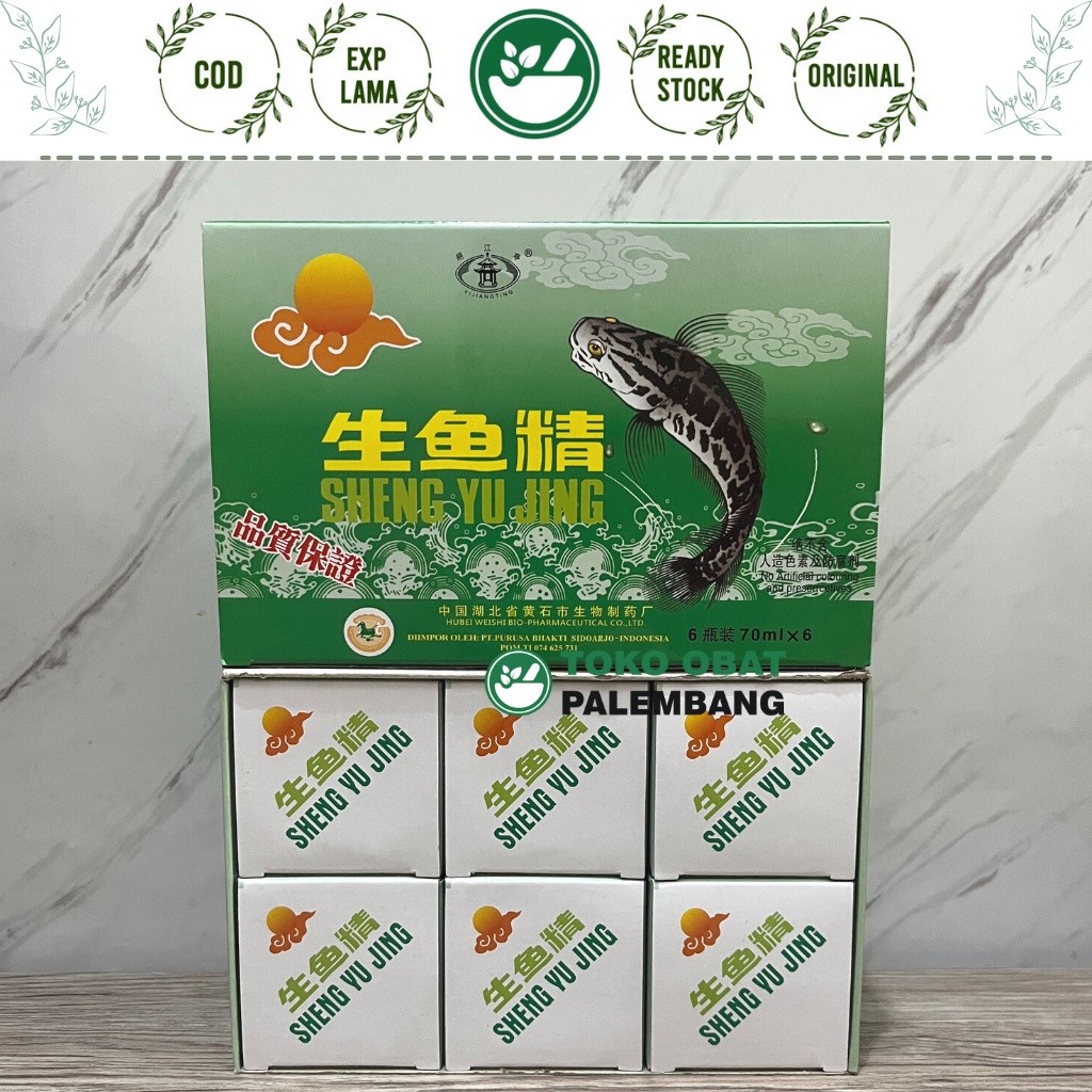 SHENG YU JING 6 BOTOL SARI IKAN GABUS KUTUK SHENGYUJING CHANNA sari pati ikan sari gabus sari kutuk 