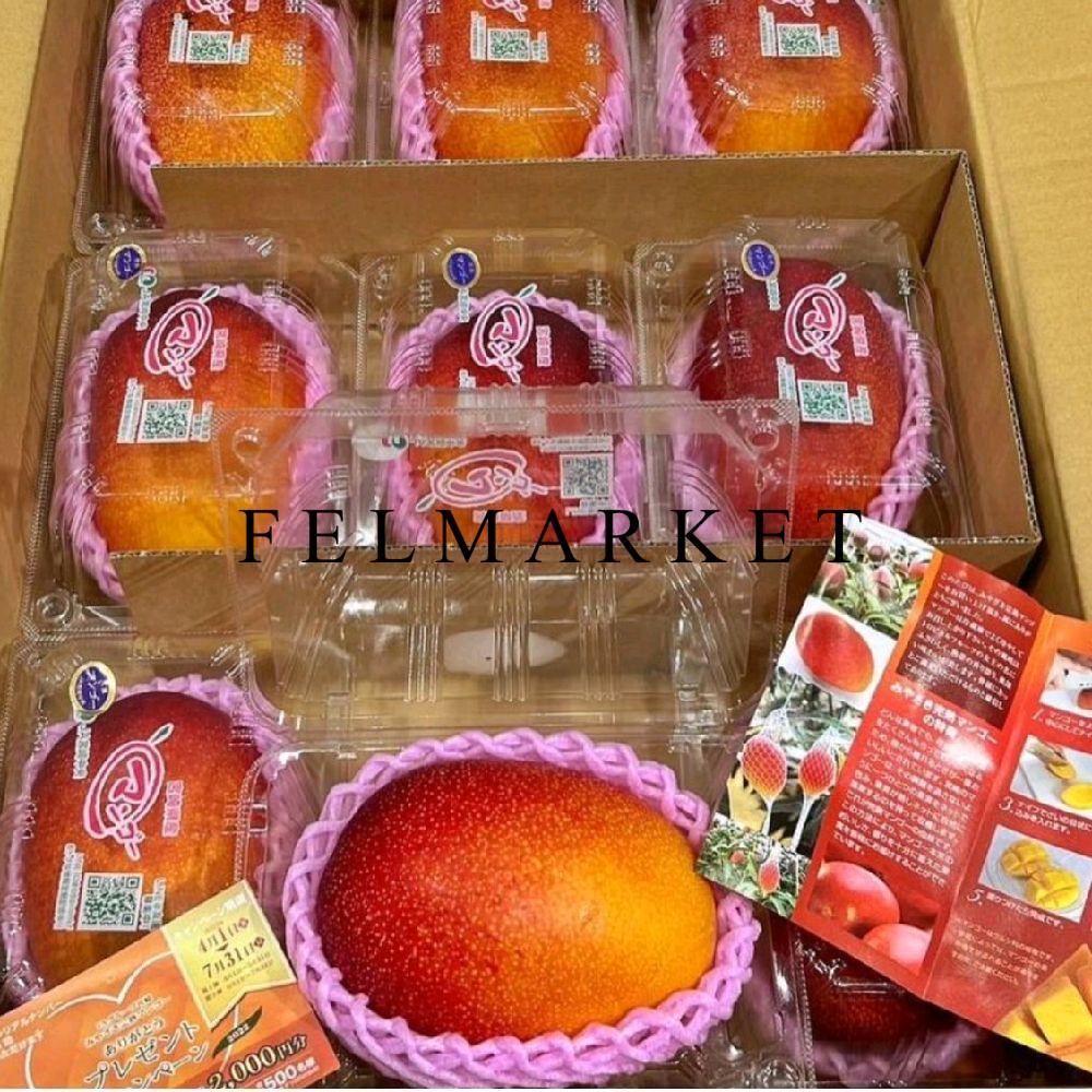 Buah Mangga Miyazaki Jepang Original / Mangga Miyazaki Merah 1 Pcs / Pack