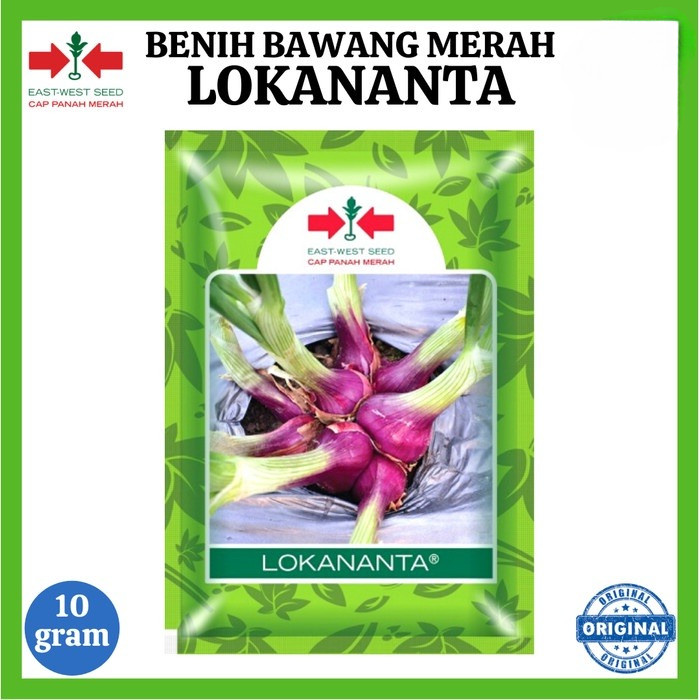 Benih Bawang Merah LOKANANTA (10 Gram) Bibit Unggul Cap Panah Merah