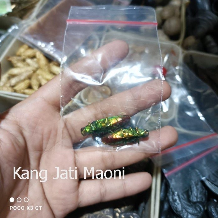 samber lilin untuk keperluan susuk asli susah buat yang palsu Asli Paling Mewah TRE2345