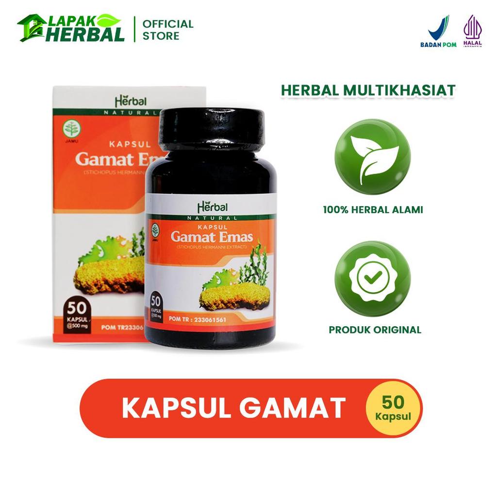 Kapsul Gamat Emas Original Ekstrak Gamat Gold Capsul