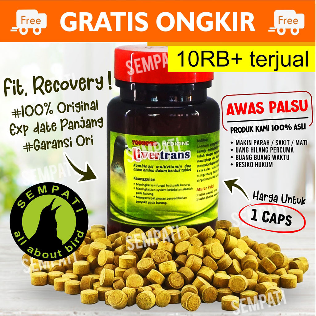 SEMPATI LIVERTRANS TOPSONG TOP SONG LIVERTRAN MULTIVITAMIN MERPATI PIL BURUNG MERPATI DARA JAMU OBAT