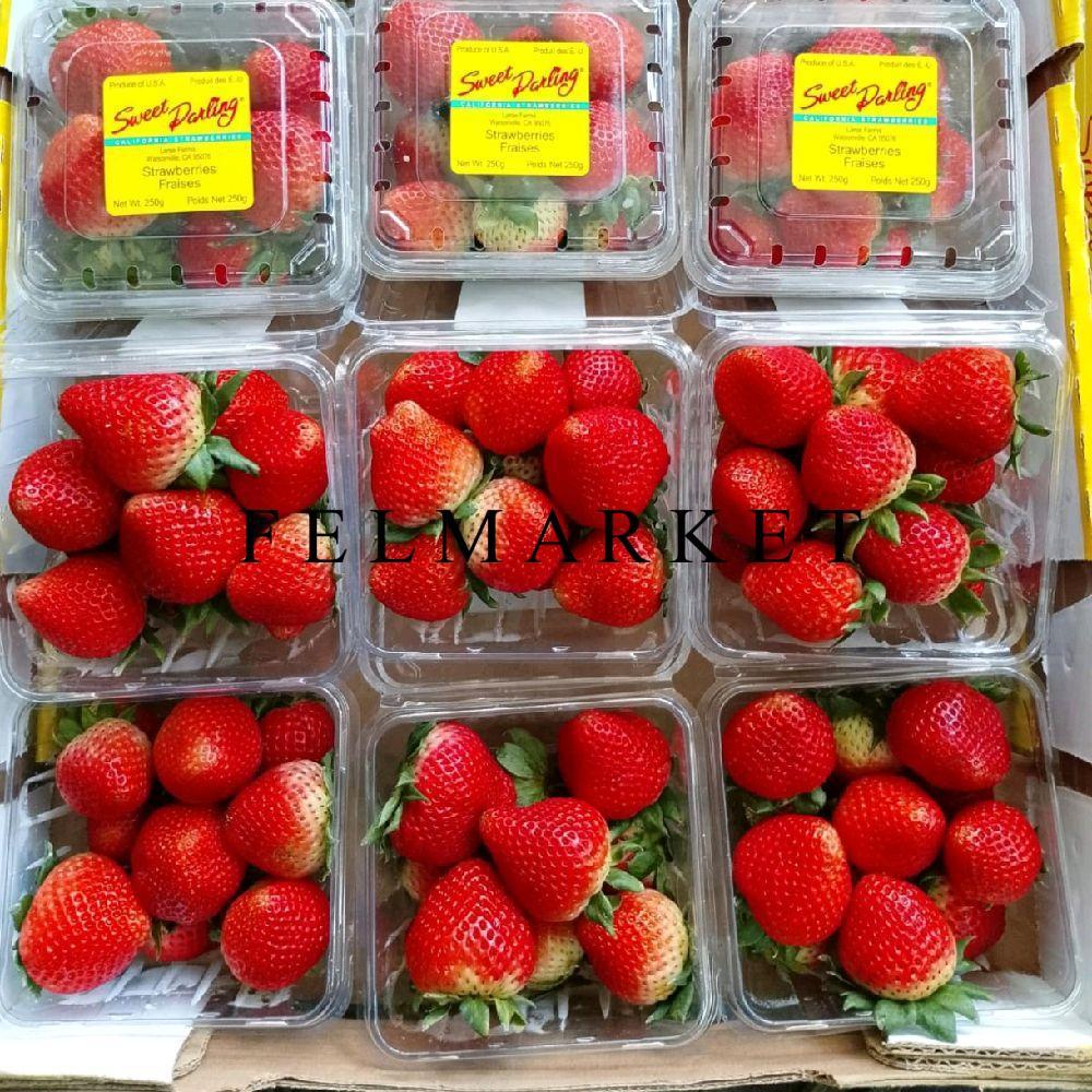 Buah Strawberry Sweet Darling Usa Fresh / Strawberry Sweet Darling 250 gr / Pack