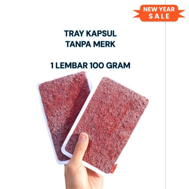 Cacing beku kapsul tray tanpa merk 100 gram / cacing beku / cacing beku tray / cacing beku kapsul / 
