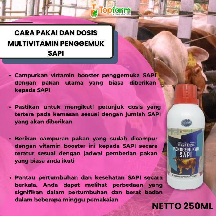 Obat Penggemuk Sapi Super Cepat/ Vitamin Ternak Penggemuk sapi/ Vitamin Herbal Sapi / Vitamin Pengge
