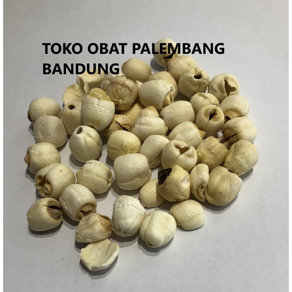 BIJI TERATAI 10 GRAM LIEN CE LIEN CI LOTUS SEED LIANZHI LIENCI LIEN CI LIAN ZHI