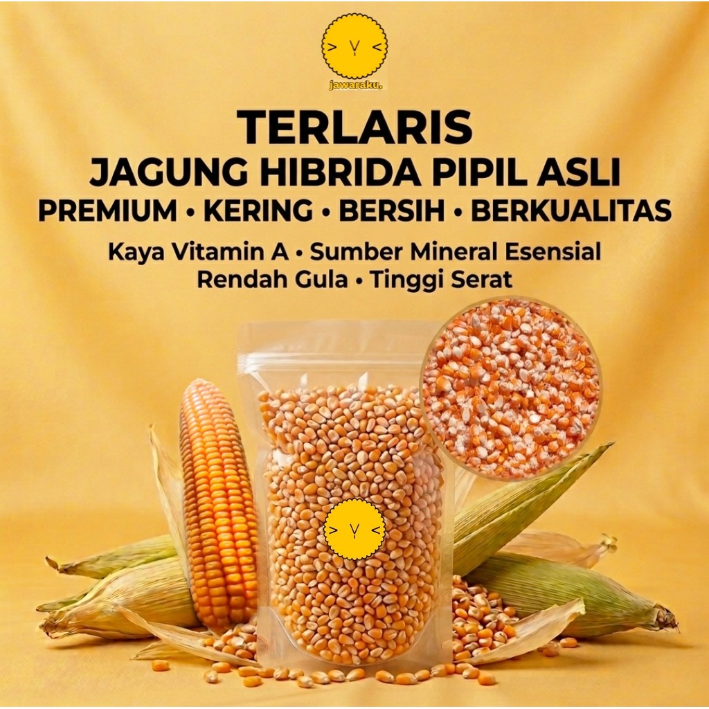 jagung hibrida pipil asli brkualitas kering bersih
