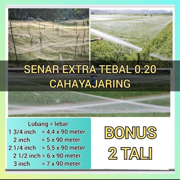 JARING PADI SAWAH SENAR 0.20 / JARING PENUTUP SAWAH / JARING BURUNG PIPIT DAN EMPRIT - 1 3/4 INCH