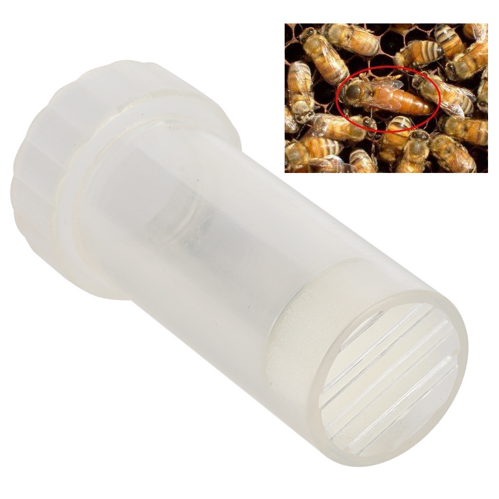 Beekeeping Tool Equipment Bee Queen Marking Bottle with foam cushion Beekeeping Queen Bee Labeled Bo