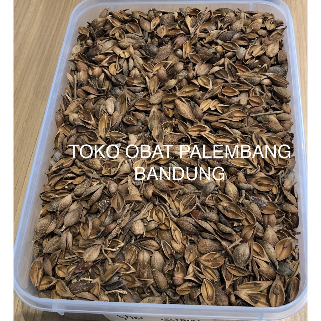 YIN QIAO 10GR YIN CHIAO YINQIAO YINCHIAO YINCIAO Lien qiao