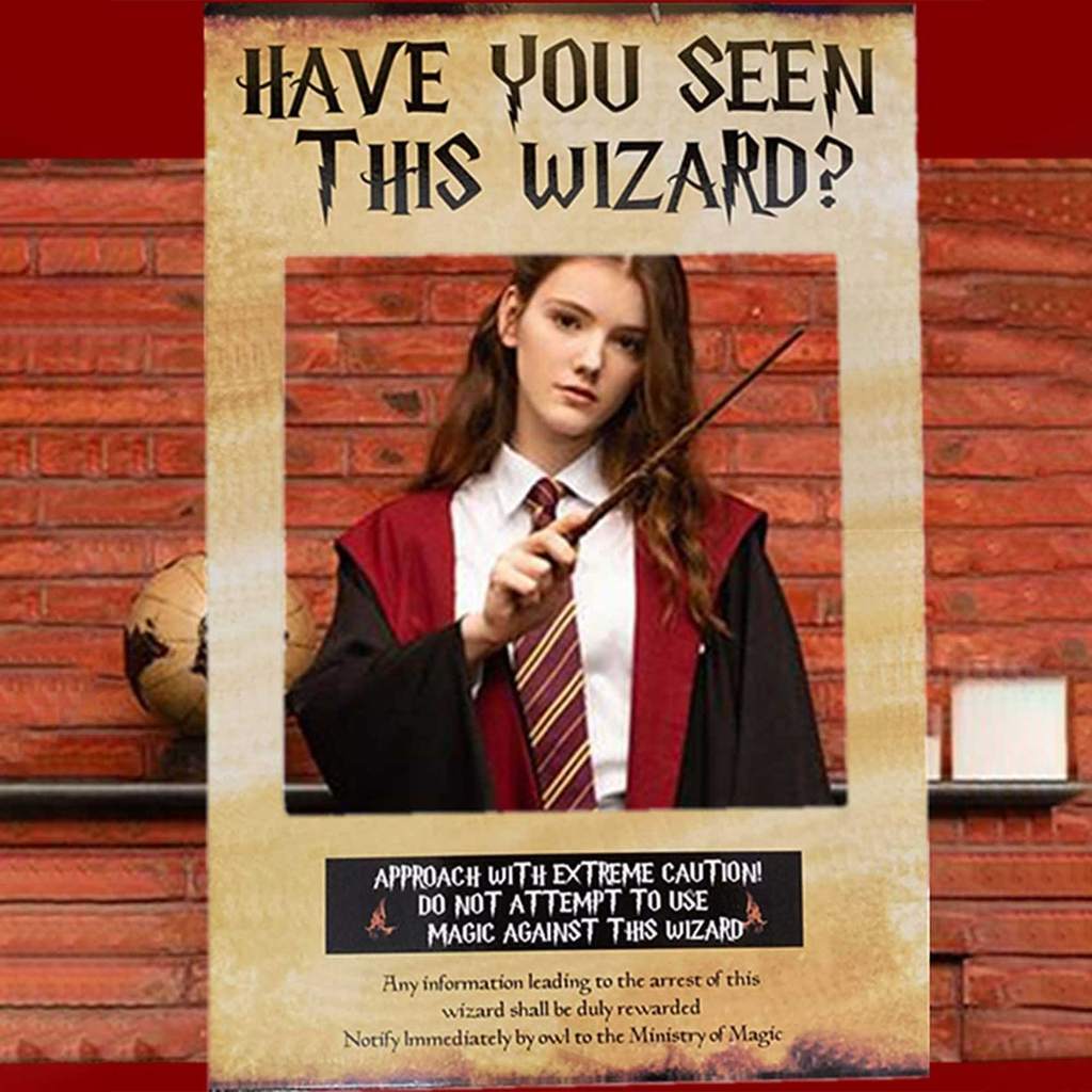 LaVenty Have You Seen This Wizard Photo Booth Prop Wizard Inspired Photo Booth Frame Wizard Birthday