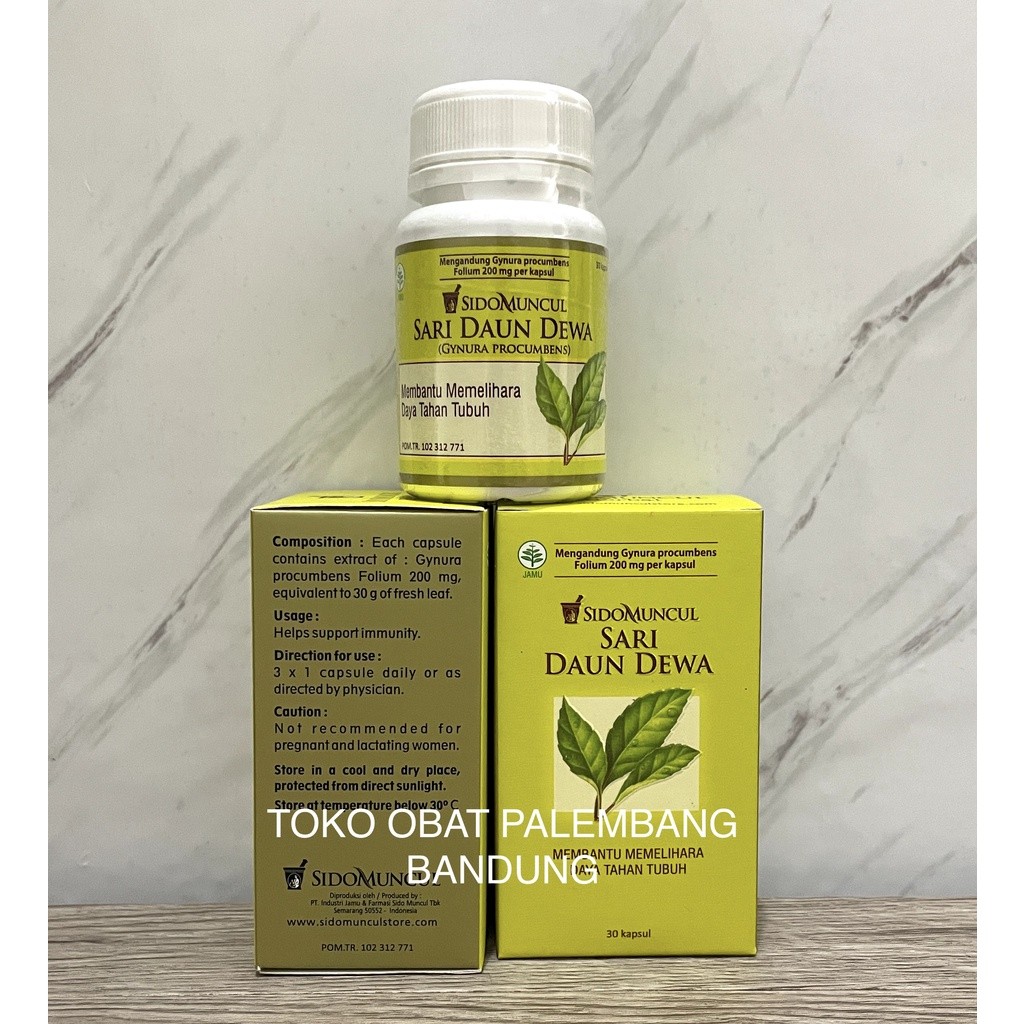 SIDOMUNCUL SARI DAUN DEWA 30 KAPSUL SIDO MUNCUL DAUN DEWA TUMOR KANKER GYNURA PROCUMBENS