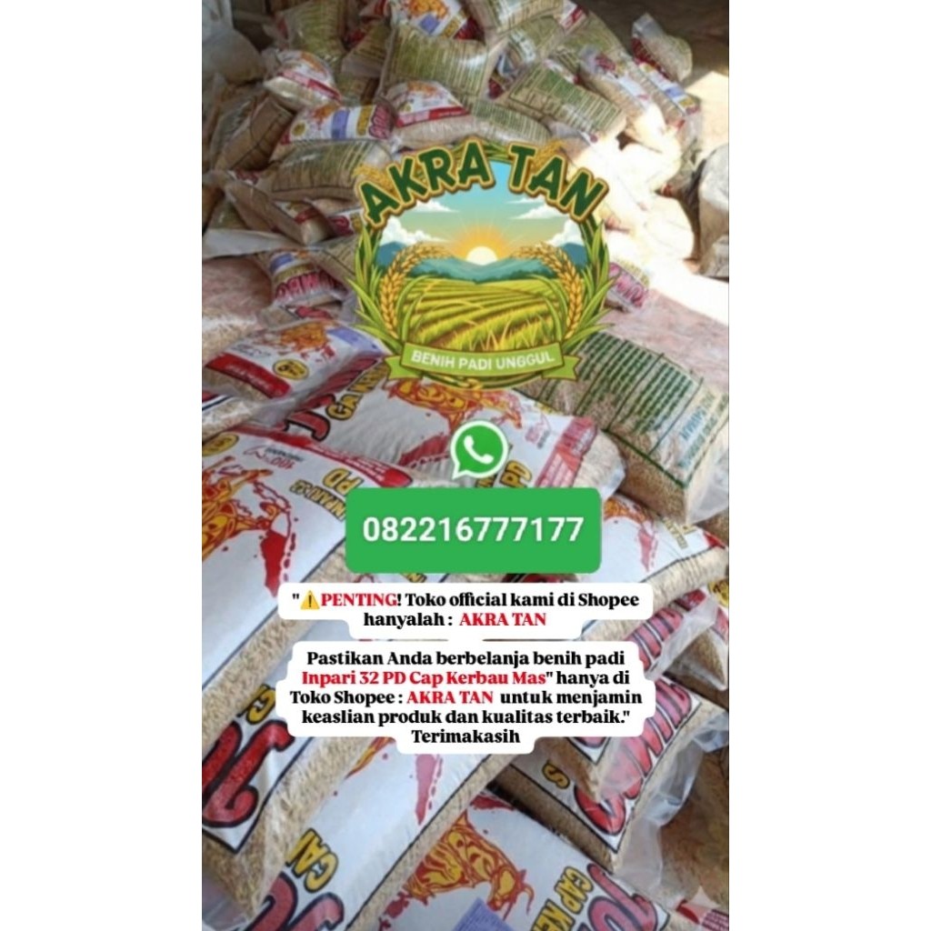 BIBIT BENIH PADI INPARI 32 PD JUMBO CAP KERBAU MAS (SERTIFIKAT LABEL UNGU)