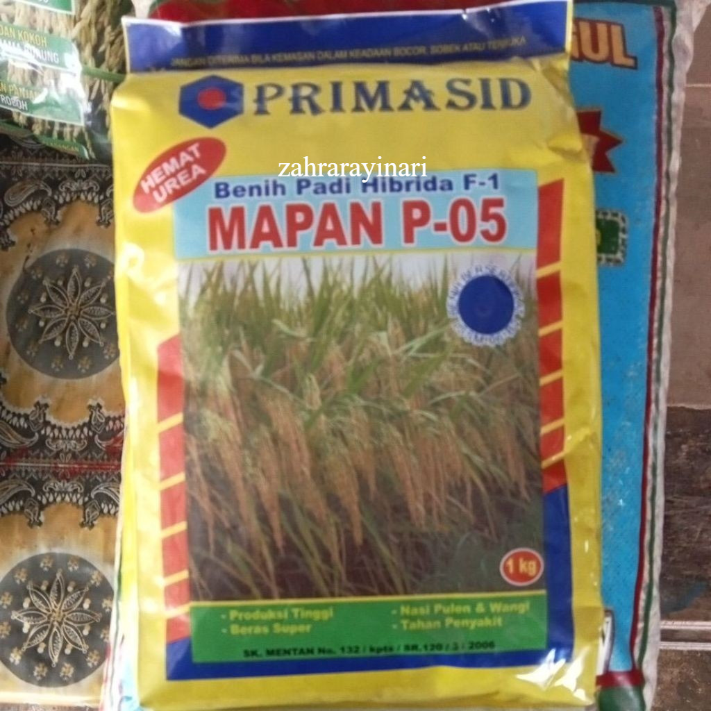 BENIH PADI MAPAN 05