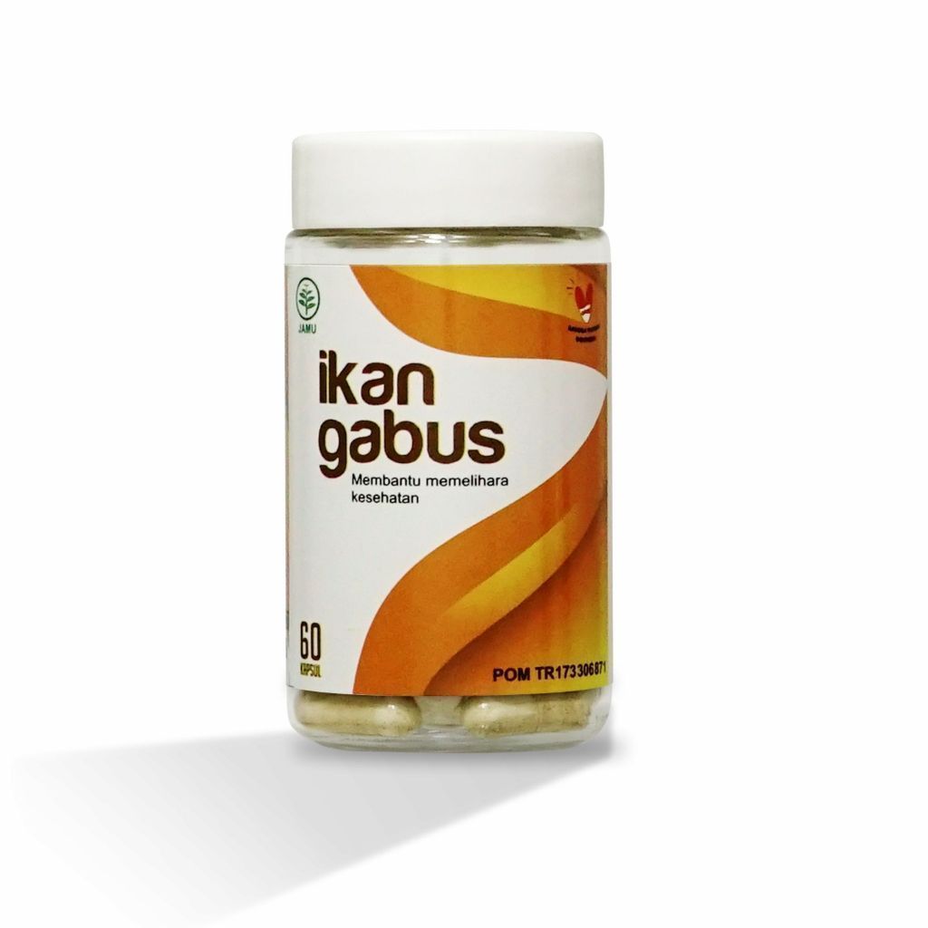 IkAn Gabus / Kutuk / Fish Cork /  Channa Striata