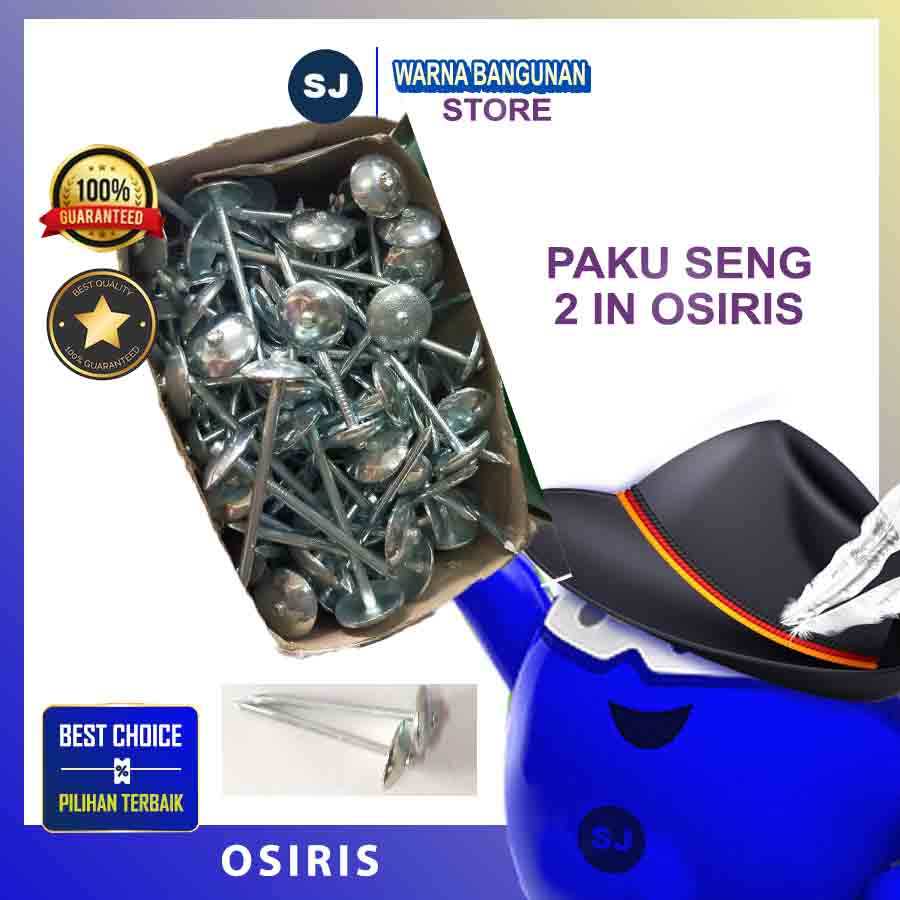 PAKU SENG 2 INCH WARNA JUAL PER KOTAK / PAKU SENG ATAP MERK OSIRIS