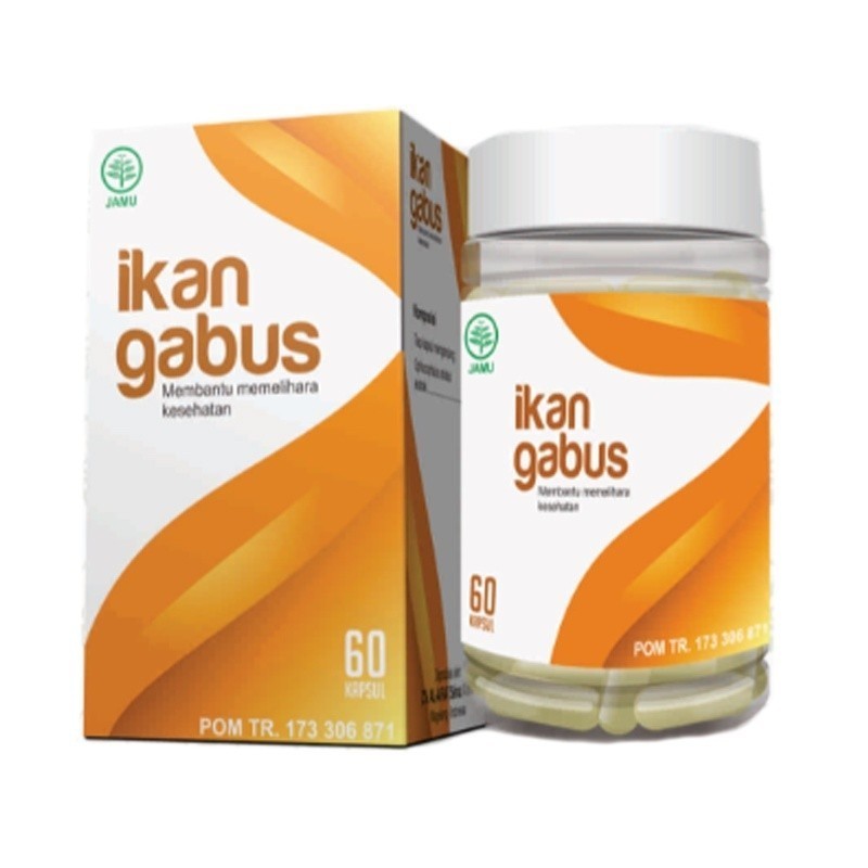 IKan Gabus / Kutuk / Fish Cork /  Channa Striata