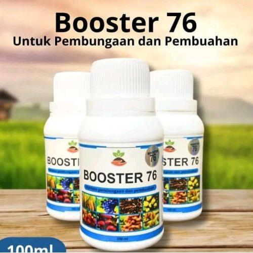 Pupuk Boster 76 perangsang buah kelengkeng