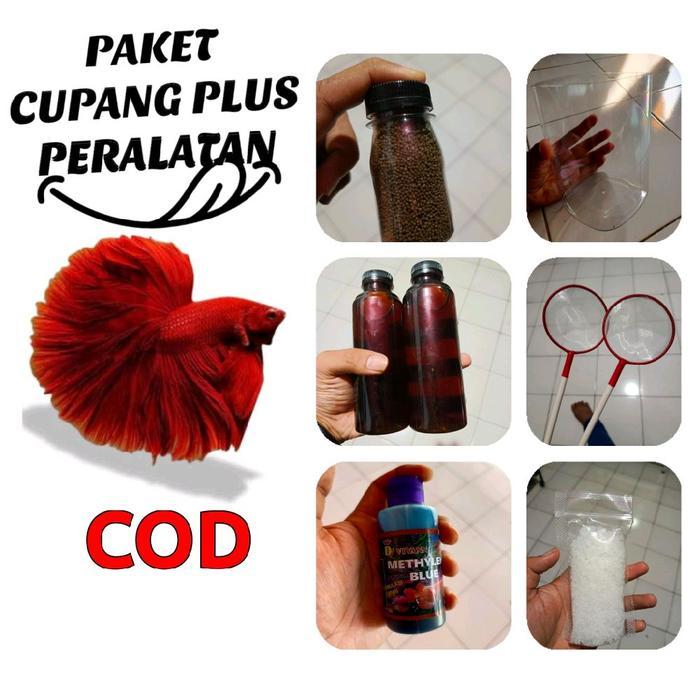 paket peralatan perawatan ikan cupang - 79.900