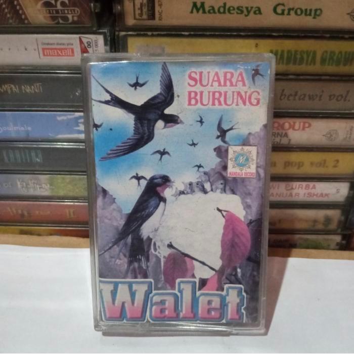 Suara Seribu Anak Burung Walet Jinak / Suara Inap Walet / Audio Walet