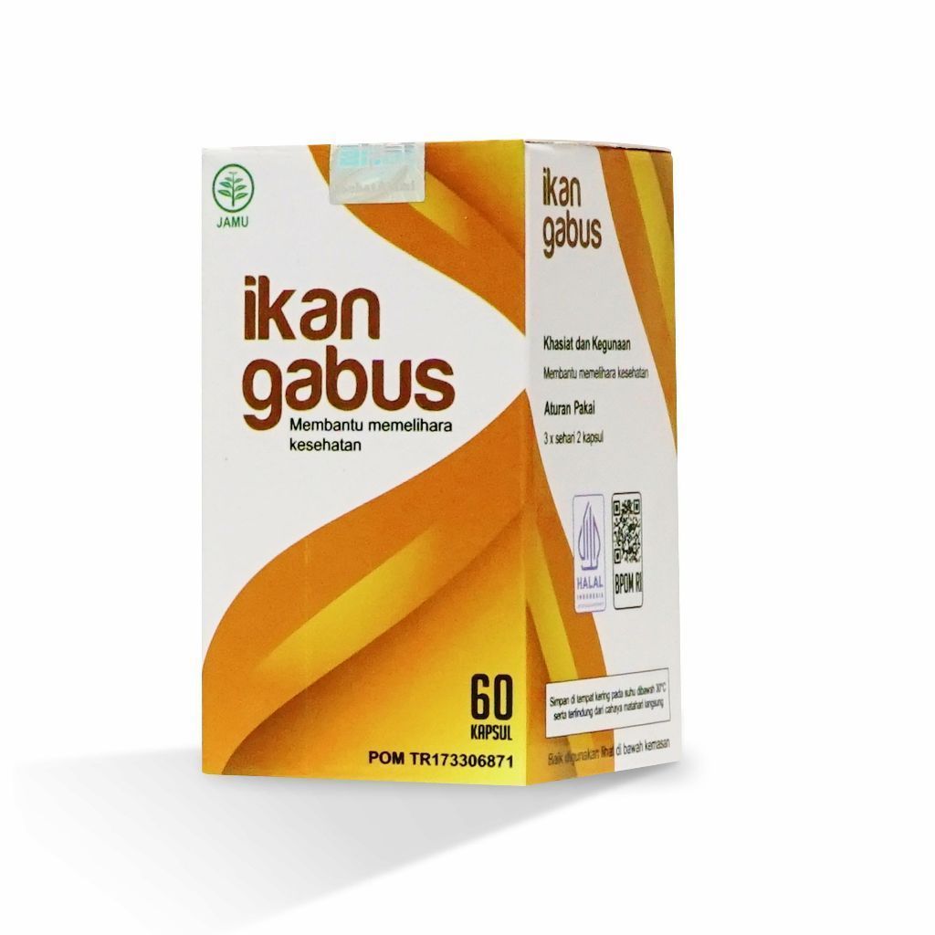 IkaN Gabus / Kutuk / Fish Cork /  Channa Striata