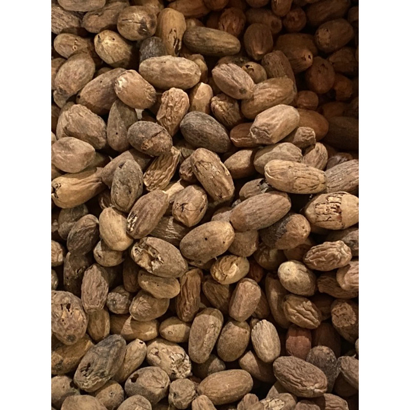 Pala Kupas broken ( grand c) 500gr - Pala Kupas Lonjong - Biji Pala kupas