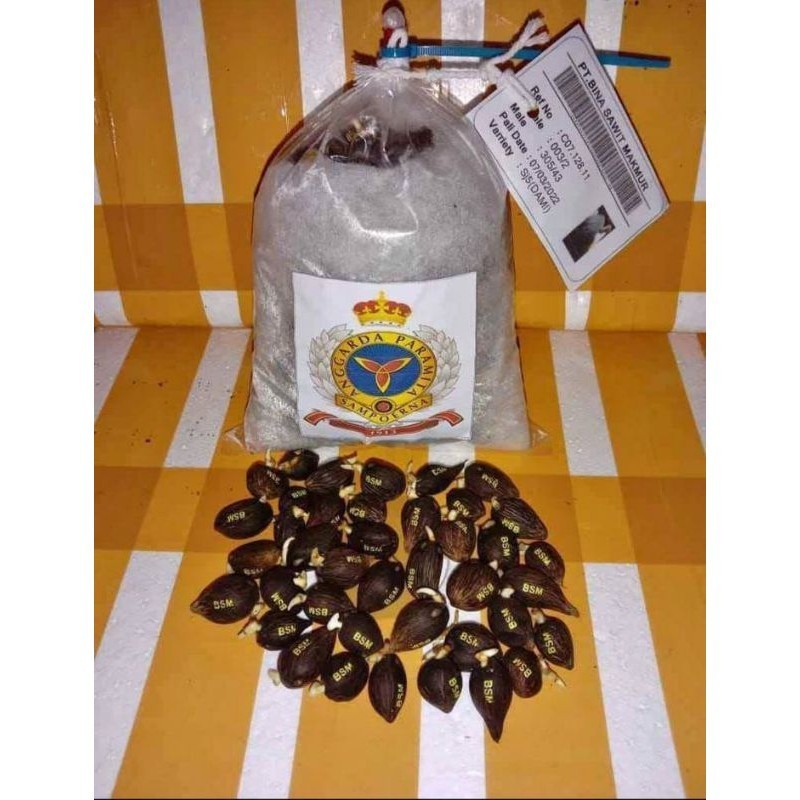 BIBIT SAWIT SUPER UNGGUL JAYA DXP Sriwijaya ( SJ5 ) ORIGINAL ( ASLI )