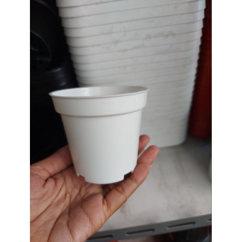 JAYYAS  - Pot  8 cm Pot Bibit Pot Kaktus Pot Plastik Pot Bening  terbaru
