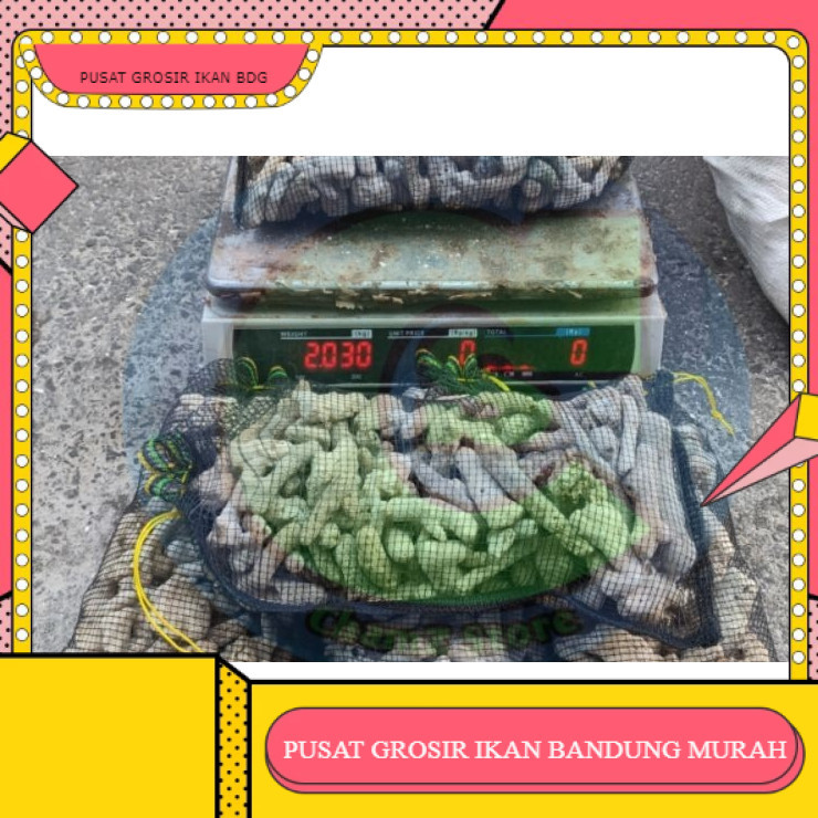 karang jahe media filter plus waring isi 2kg / karang jahe media filter kolam / karang jahe media fi