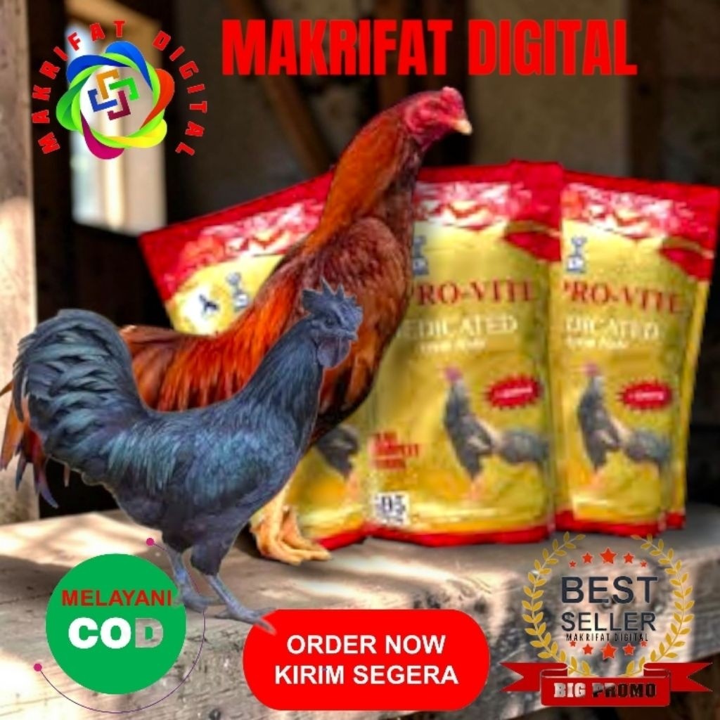 ZACK MART Paket 6 Kg Sentrat Poer Pur Voer A595K Pakan AYAM PREMIUM Khusus Ayam Bangkok Birma Shamo 