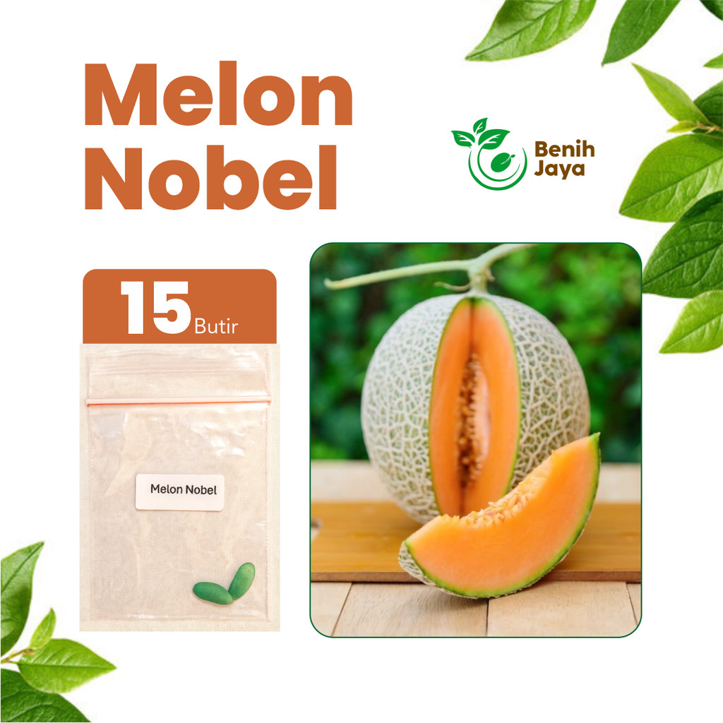 BENIH JAYA - Benih Buah Melon Jumbo Unggul Bibit Melon Jumbo Super F1 Benih Melon Manis Premium