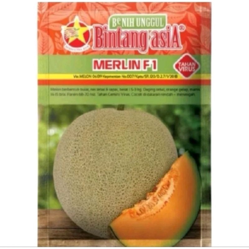 10 Biji Bibit Melon Merlin F1 Original