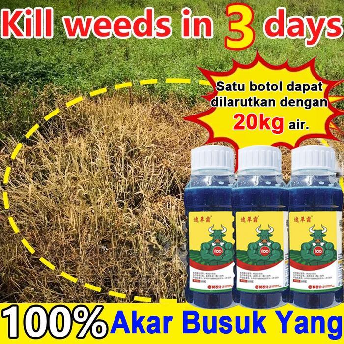 Racun Rumput Paling Ampuh Racun Pohon Besar Ampuh Oba Pembunuh Pohon Besar obat Pembasmi Rumput Liar