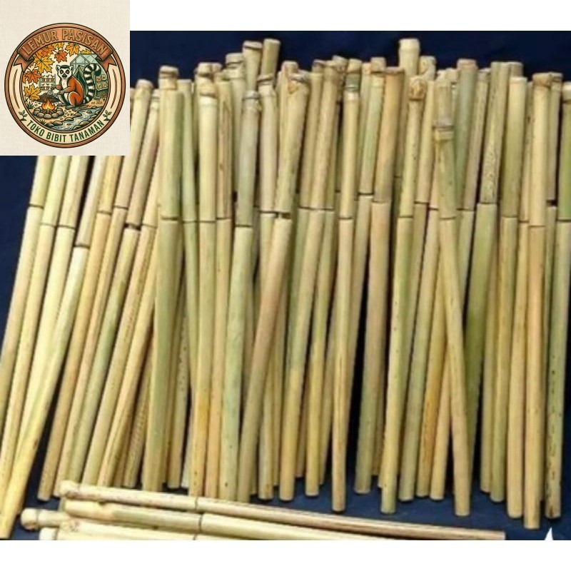 pletokan bambu mainan tradisional