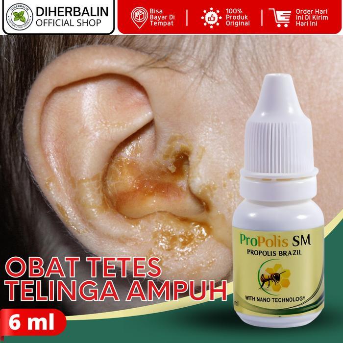 Propolis SM Obat Tetes Untuk Atasi Telinga Berair Bau Bernanah Congek  Perawatan Kuping Bersihkan Ko