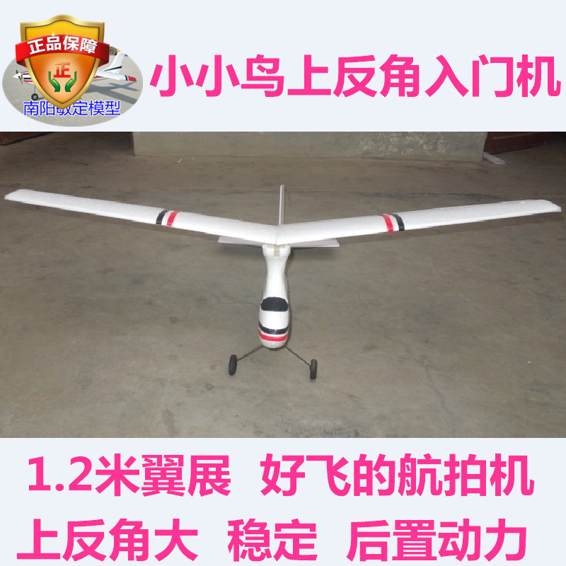 1200mm wingspan Mini Bird RC Glider EPS