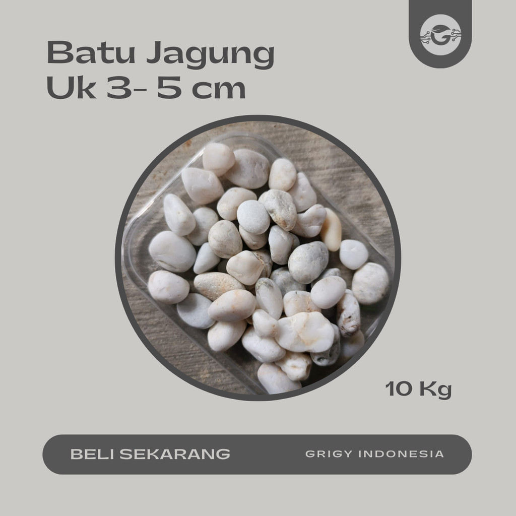 BATU JAGUNG PUTIH WHITE CORN PEBBLE STONE  10 KG