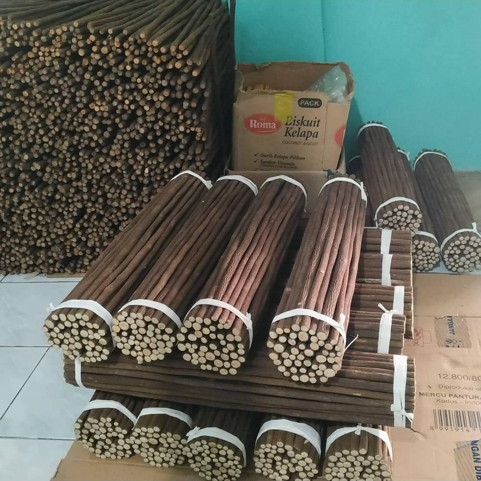 [exstra] Tangkringan Asem Jawa Tetehan Super Lomba Burung Murai Kacer Kenari Pleci Untuk Plangkringa