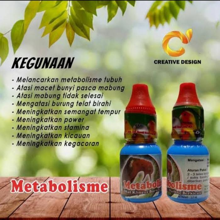 Metabolis vitamin burung pleci kenari love bird sogok ontong murai