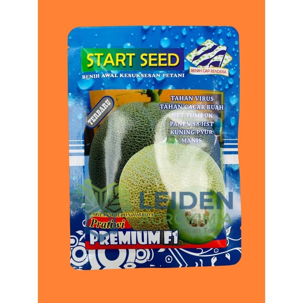 Benih Melon PRATIWI PREMIUM F1 isi 1000 biji dari START SEED Buah melon yang manis